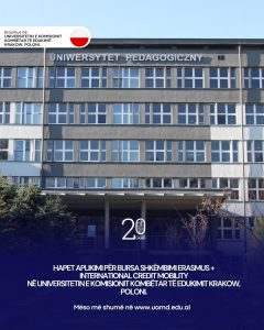 Erasmus Template (11)