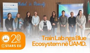 TEMPLATE 20 VJETORI MAIN (31)